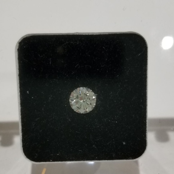 Meet your Posher, Molly - Picture 4 of 7